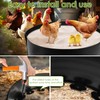 Chicken Dust Bathtub,Bottomless PE Chicken Dust Bath Containers,Adjustable Chick Coop