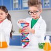 NUOBESTY 1 Set DNA Model, Double Helix Human DNA Model