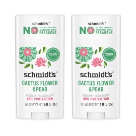 Schmidt's Fresh Rain Birch Vegan Deodorant 2 Pack Natural 24 Hour Protection