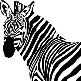 Zebra Head Sticker Decal Notebook Car Laptop 5" x 5" (White)