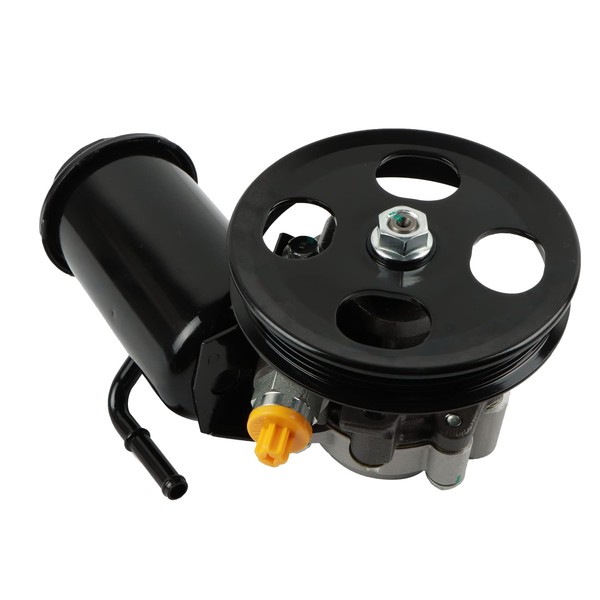 Daysyore Power Steering Pump 21-5229 with Pulley Fits for 1995-2004