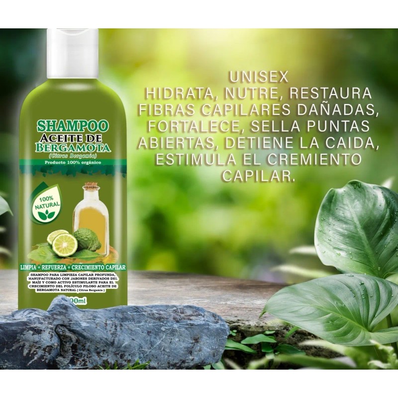 3 Shampoos De Bergamota Y 1 Aceite