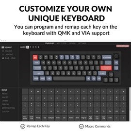 Keychron Q2 Wired Custom Mechanical Keyboard Knob Version, 65% Layout QMK/VIA Programmable Macro with Hot-swappable Gateron G Pro Blue Switch Double Gasket Compatible with Mac Windows Linux (Black)