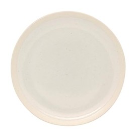 Showa Izawa Corporation Lightweight Tableware TLP Rim Band Plate WH 9 037927