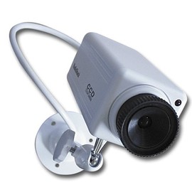 Swann Simulated Security Camera
