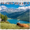 Cute Highland Cow Shower Curtain Hooks - Metal Silver Shower