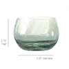 Santa Barbara Design Studio Seeded Drinking Glasses, Roly Poly Tumbler,