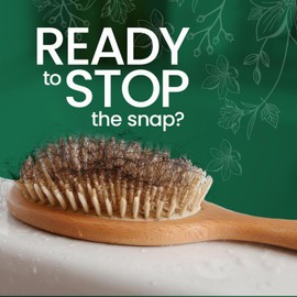 Tio Nacho Mexican Herbs Shampoo, Strengthening, Anti Hair Loss & Anti Breakage with Royal Jelly, Ginseng & Jojoba, Paraben & Cruelty Free, 32 Fl Oz