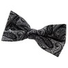 Retreez Men Elegant Paisley Art Pattern Woven Microfiber Pre-tied Bow