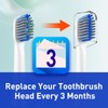 Toothbrush Heads Replacement Compatible with Bitvae D2 Electric Toothbrush, 10