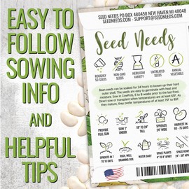 Seed Needs, 50+ Henderson Lima Bush Bean Seeds (Phaseolus vulgaris) Easy to Grow Lima Beans Non-GMO- Bulk