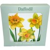 Set of 4 Daffodil Coasters Flower Design Cork Kitchen Dinner