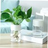 Totority 4Pcs Clear Pots Versatile Plastic Planters for Hydroponic Semi