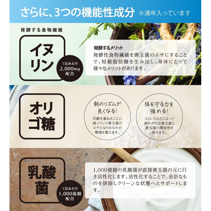 季節のフルーツ青汁ジュレ お試し10包 柑橘風味 青汁ゼリー/イヌリン 2000mg / 30種類の乳酸菌 / 植物発酵エキス/オリゴ糖 野菜