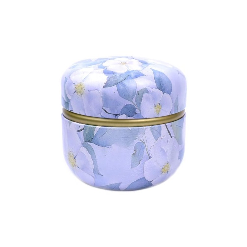 Topwon - Funda de polvo con soplo de polvo para