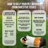 Sherwood Pet Health Guinea Pig Emergency Kit (Small) with Timothy