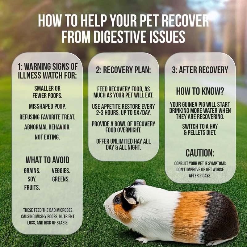 Sherwood Pet Health Guinea Pig Emergency Kit (Small) with Timothy