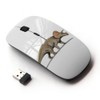 KOOLmouse [ Optical 2.4G Wireless Mouse [ Extinct Dinosaur Herbivore