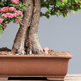 GANAZONO Realistic Stone Mushroom Decorations 2pcs Rose Quartz Mushrooms for Garden