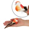 com-four® 24 x Decorative Birds, Artificial Birds in 5 Colourful