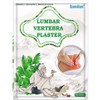 Lumbar Vertebra Plaster, Chinese Herbal Plaster