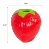 Outward Hound by Planet Dog Foodies Strawberry Treat-Dispensing Dog Chew