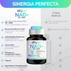 Nad Trans Resveratrol Combinación Superior Nmn Nicotinamida Ribosa Fortalecido Ingredientes