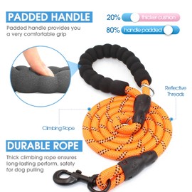 BAAPET 2/4/5/6 FT Strong Dog Leash with Comfortable Padded Handle and Highly Reflective Threads for Small Medium and Large Dogs (4FT-1/2'', Orange)
