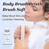 Dry Brushing Body Brush – Natural Bristle Exfoliating Brush for