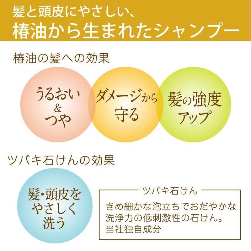大島椿 オイルシャンプー 400mL (フケ カユミ 低刺激 ノンシリコン)