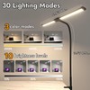 LED Desk Lamp, Double Head Desk Light with USB Charging