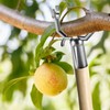 Tree Branch Support Metal,5 Pieces Tree Support Stakes,Adjustable Leaning Fruits