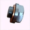 Filling and Drain Plug 1/4 Inch for Garden Pumps/Domestic Waterworks