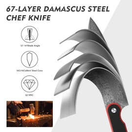 FINTISO Chef Knife 8 Inch, Professional 67-Layer Damascus Stainless Steel Kitchen Knife with 10Cr15CoMoV Steel Core, Ultra Sharp Cooking Knife with Ergonomic Full Tang G10 Handle