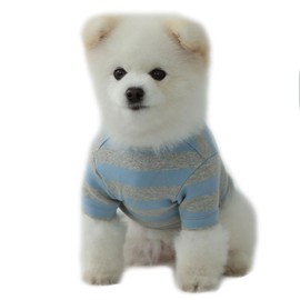 Lucky Petter Dog Cotton Shirts for Small and Large Dogs Rugby Striped T-Shirts Soft Breathable Dog Shirt pet Clothes (Large, Blue/Gray)