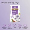 Twinings Superblends Sleep Tea - Spiced Apple & Vanilla Herbal