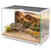 AWERT Reptile Habitat Background Blue Sky Oasis Cactus Sun and