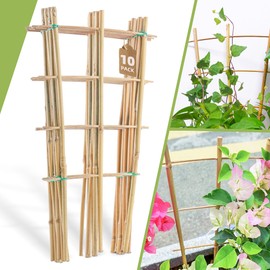 10 Pack 16" Bamboo Trellis for Climbing Plants-Natural Garden Ladder Trellis, Fan -Shaped Support Trellis for Potted Plant Decor in Door