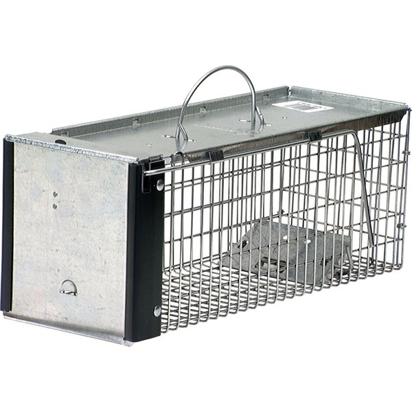 Havahart 0745 Extra Small 1-Door Humane Catch and Release Live Animal Trap for Squirrels, Chipmunks, Rats, Weasels, and Small Animals
