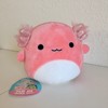 Kellytoy NEW Squishmallow Archie Pink Axolotl / Tristan Green Dinosaur