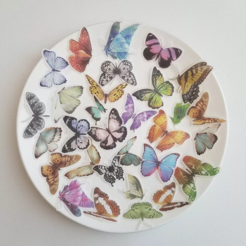 Unbranded 240pcs Flower/Butterf