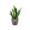 elho Brussels Diamond Round 16 - Flower Pot Indoor -