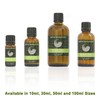 Benzoin 100% Pure Essential Aromatherapy Oil 100ml