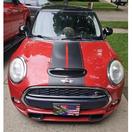 Oracal MATERIAL 17" Racing Stripe Stripes Graphics Decals fits S Mini Countryman Cooper Clubman