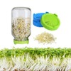 8 Pack Plastic Mason Sprouting Lids with 2 Cleaning Brush,