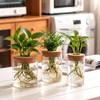 6Pcs Glass Plant Propagation Stations, Desktop Flower Vases, 3 Size