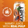 De Mi Pais Mamey Sapote Juice Zapote with Real Pulp