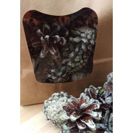 Aurora Cones, Colour-Changing Pine Cones for Fireplaces, Grills, Open Fire (Pack of 20).