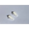 SpentShells® Reusable White/Clear Ear Plugs Noise Filtered Ear Plugs with