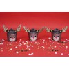 PME Cupcake Decorating Kit with Edible Toppers, Reindeer